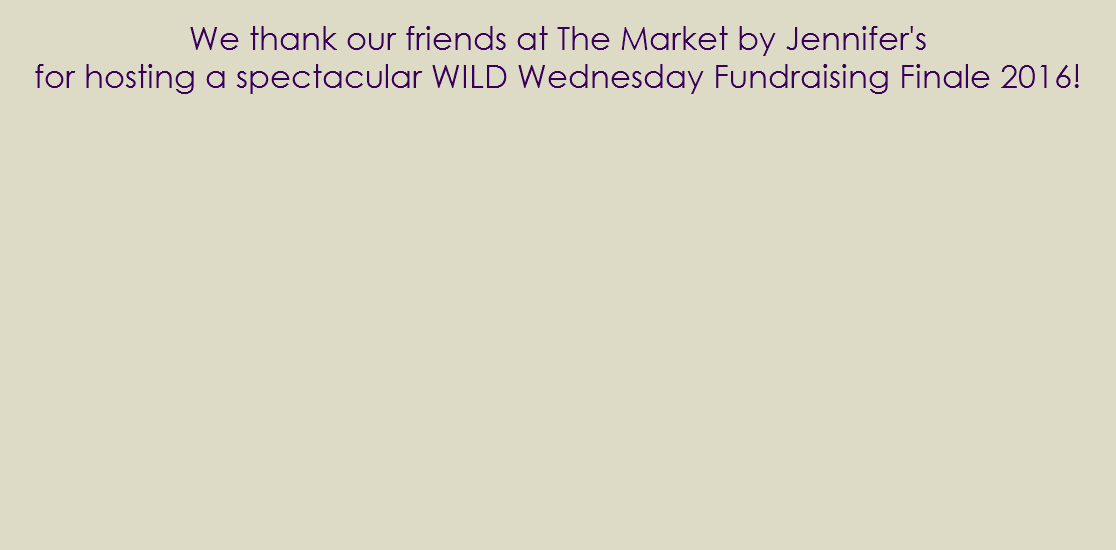  We thank our friends at The Market by Jennifer's for hosting a spectacular WILD Wednesday Fundraising Finale 2016! 